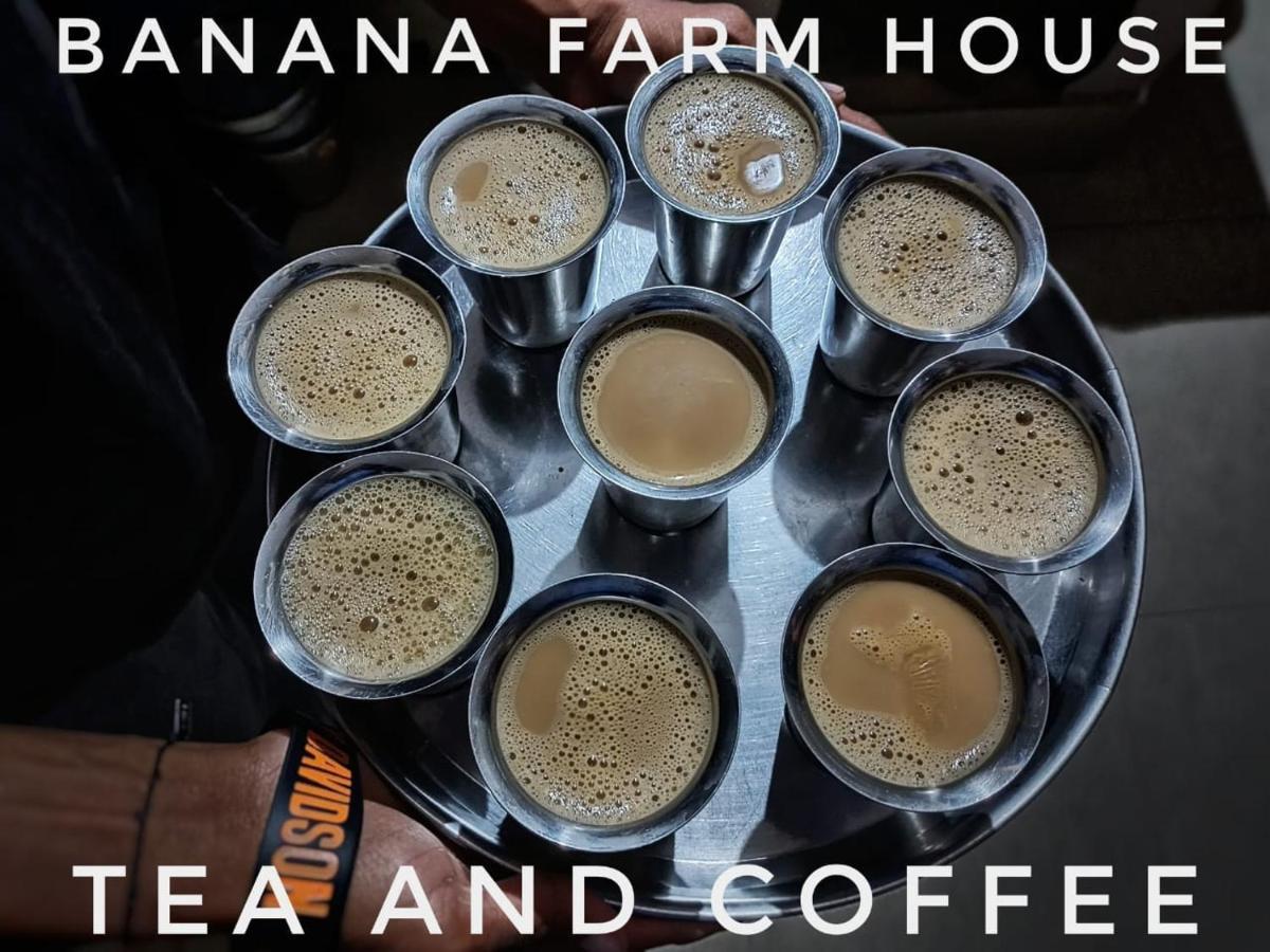 Banana Farm House Hampi Dış mekan fotoğraf
