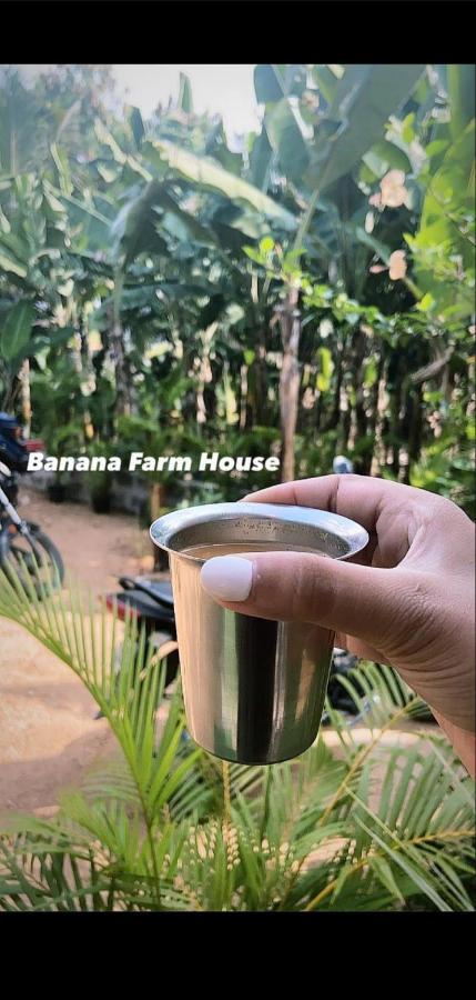 Banana Farm House Hampi Dış mekan fotoğraf