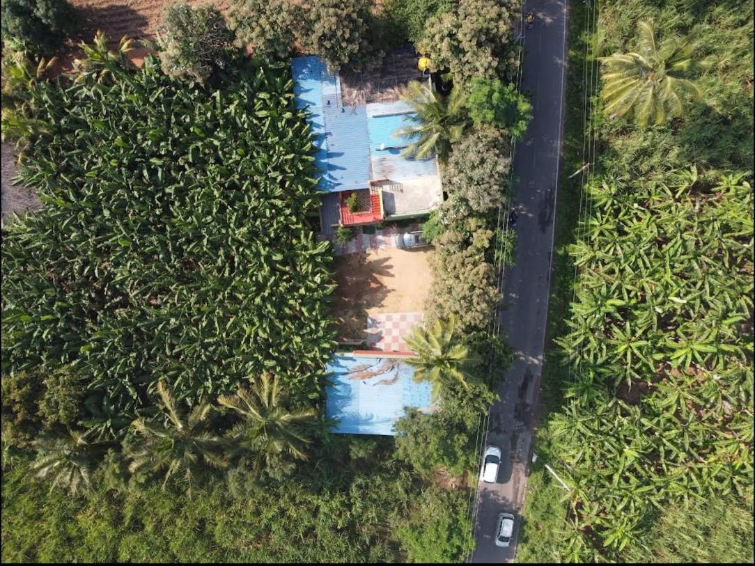 Banana Farm House Hampi Dış mekan fotoğraf