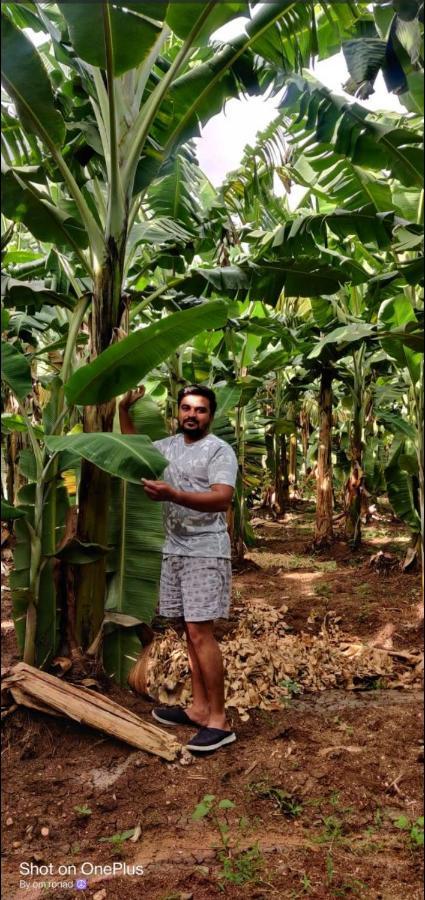 Banana Farm House Hampi Dış mekan fotoğraf